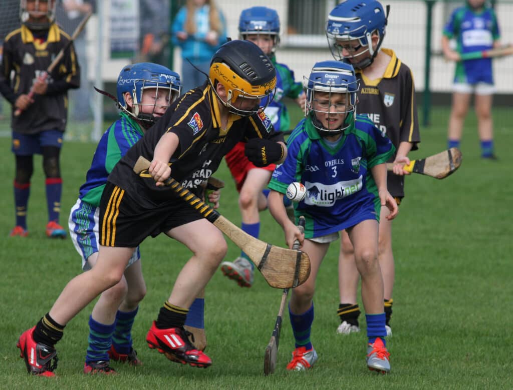 Tynagh Abbey Duniry Hurling Club