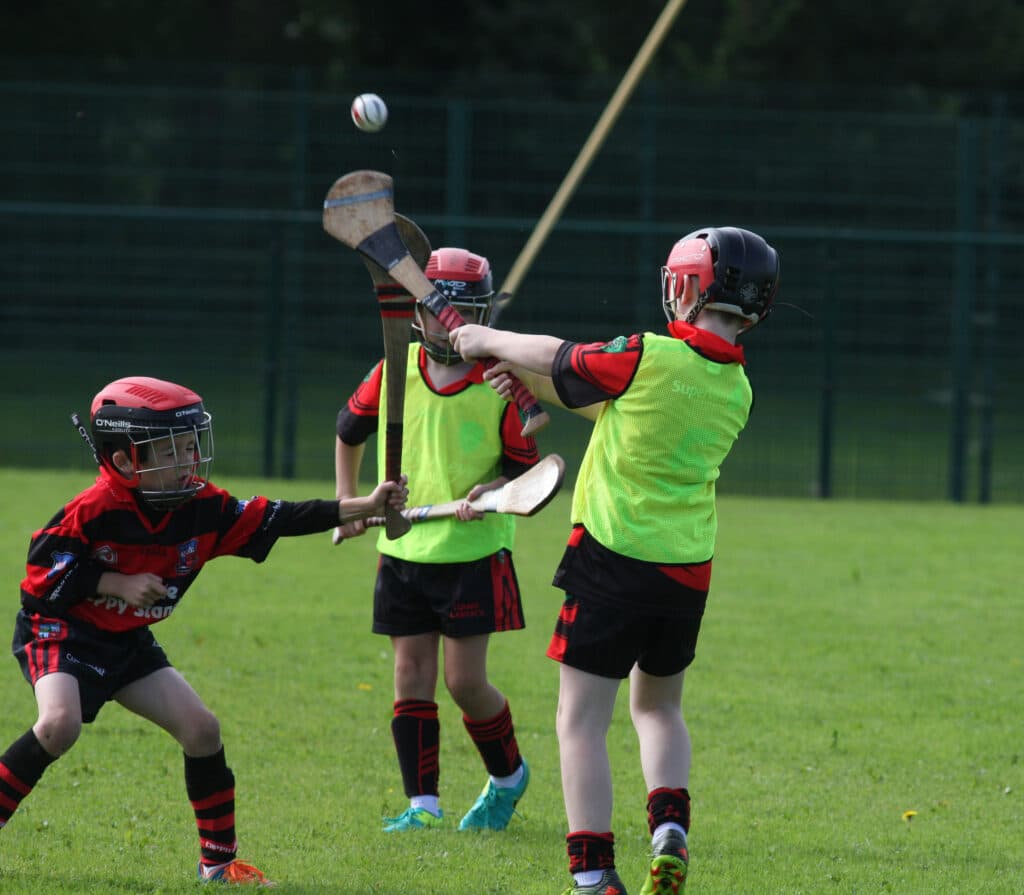 Tynagh Abbey Duniry Hurling Club