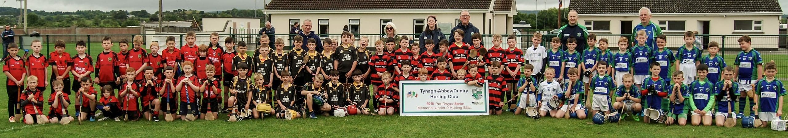 Tynagh Abbey Duniry Hurling Club